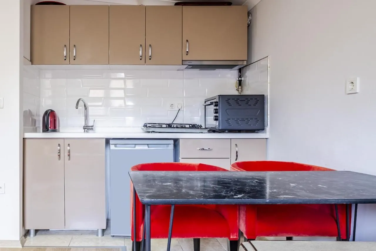 Fully Furnished Flat With Terrace In Atasehir Lägenhet Istanbul Turkiet